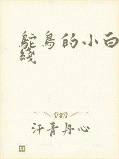 鸵鸟的小白脸路线