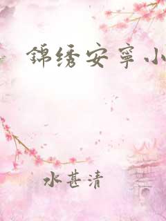 锦绣安宁小说