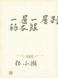 一层一层剥开我的衣服
