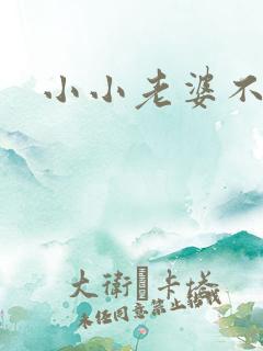 小小老婆不受宠