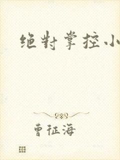 绝对掌控小说