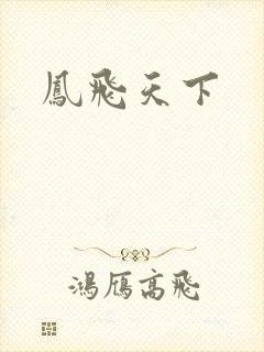 凤飞天下