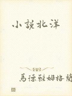 小说北洋