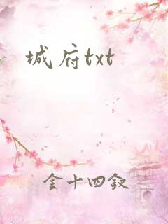 城府txt