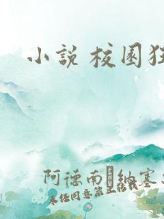 小说 校园狂少