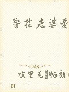 警花老婆爱上我