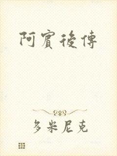 阿宾后传