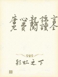 唐心龙锦言小说免费阅读全文