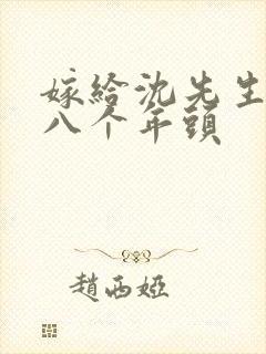 嫁给沈先生的第八个年头