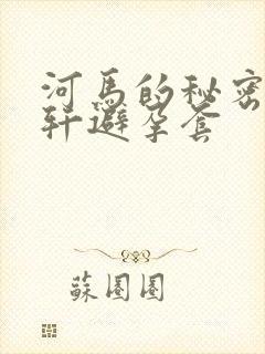 河马的秘密河文轩避孕套