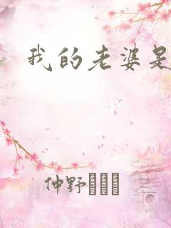 我的老婆是火影