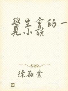 学生会的一己之见小说