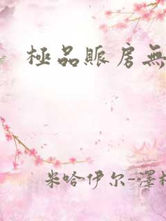 极品账房无弹窗