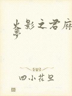 火影之君麻吕的梦