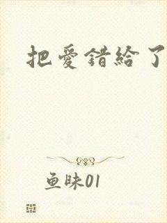 把爱错给了你