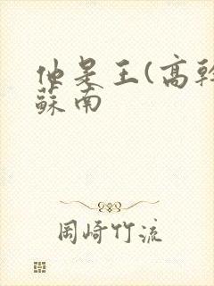 他是王(高干)苏南