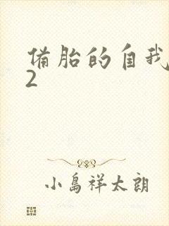 备胎的自我修养2