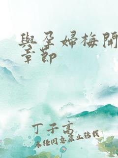 与孕妇梅开三度章节