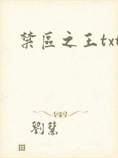 禁区之王txt