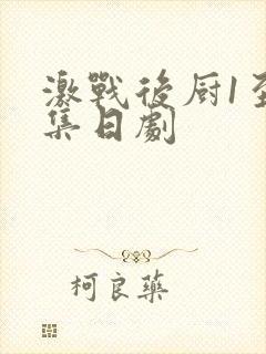 激战后厨1至5集日剧