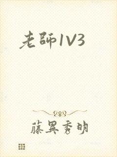 老师1V3