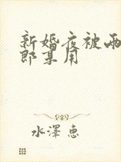 新婚夜被两个伴郎享用