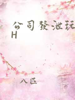 公司发泄玩具lH