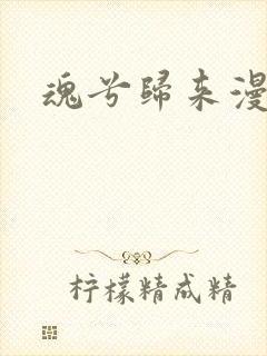 魂兮归来漫蒹葭