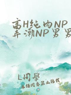 高H纯肉NP 弄潮NP男男