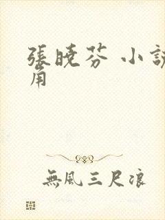 张晓芬 小说主角