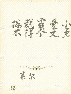 总裁霸爱小妻惹不得全文免费阅读笔趣阁