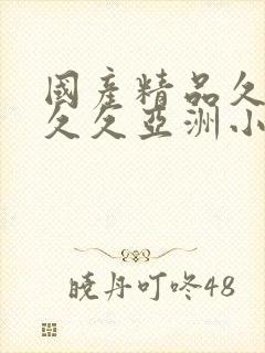 国产精品久久久久久亚洲小说