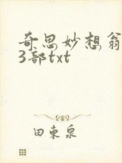 奇思妙想翁乱13部txt