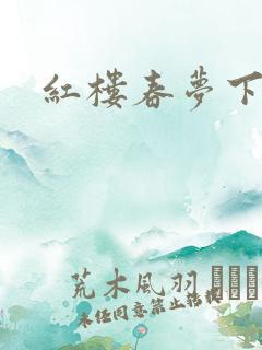 红楼春梦下载