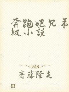 奔跑吧兄弟限制级小说