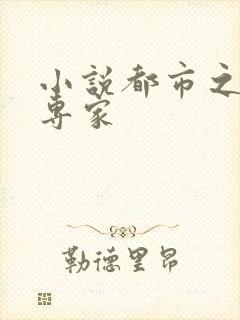 小说都市之军火专家