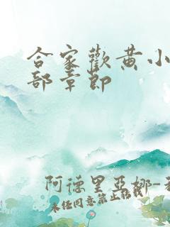 合家欢黄小梅全部章节