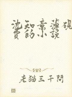 沈知意薄砚霆免费的小说