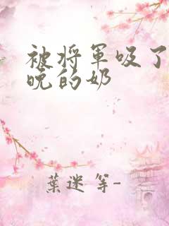 被将军吸了一整晚的奶