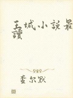 王城小说最近阅读