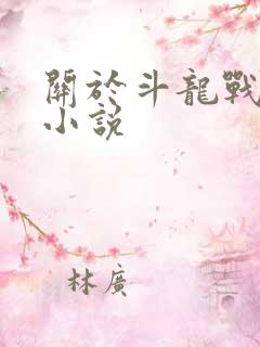 关于斗龙战士的小说