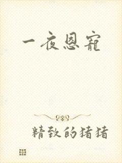 一夜恩宠