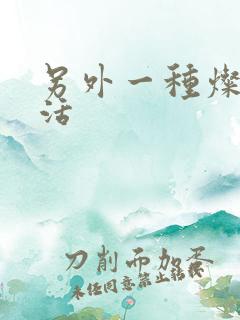 另外一种灿烂生活