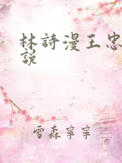 林诗漫王忠文小说