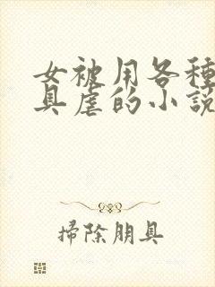 女被用各种性器具虐的小说