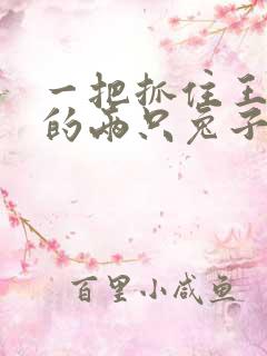 一把抓住王昭君的两只兔子