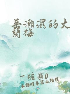 岳潮湿的大肥赵兰梅