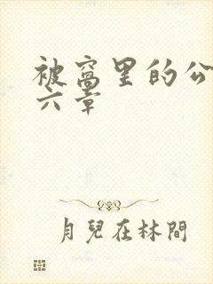 被窝里的公息十六章