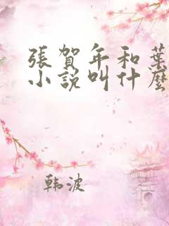 张贺年和叶繁姿小说叫什么名字