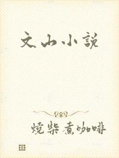 文山小说